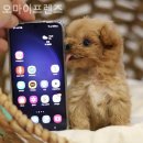 오마이프렌즈 이미지