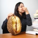 두리안 이미지