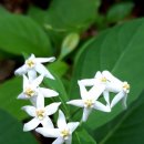 소양강둘레길 1코스 이미지