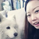 카페테라(Cafe tera) 이미지