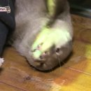 햇님농장 이미지