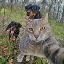 인싸 PC방 이미지