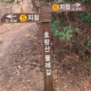 여수 호랑산 둘레길 - 13.6km=3시간30분 이미지