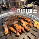 미미돼소