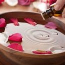 한의허브나라 이미지