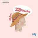 11650-14-38-11 | [임신 38주] 임신 후기 증상 _ 치골통, 가진통, 내진, 막달운동, 튼살, 변비, 속쓰림, 배뭉침 통증, 태동