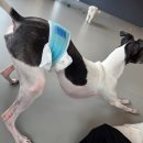 해멍달멍 이미지