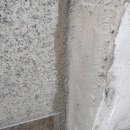 파주로하스요양병원 이미지