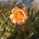 베말공원 이미지