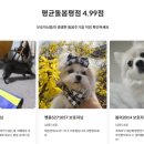 고양이 생활 호텔 이미지