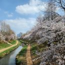 대월놀이공원 네이버블로그