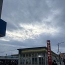 동해수산초장집 | 동해 묵호항 수산시장 줄가자미, 복어 활어회 가격정보, 포장후기