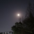 풋살장 | 중랑물재생센터 풋살장 평일 이용후기(무료 예약방법)