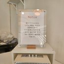 분당젤라또 젤라또맛집 쿨리스트(Coolist) 젤라또 후기