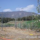 백화산모텔 이미지