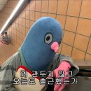끄트머리 이미지