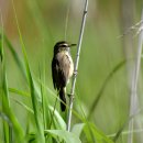 외연도5 이미지