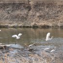 귀빈여인숙 네이버블로그