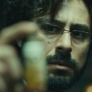 바디명작 이미지