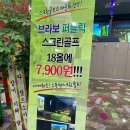 광주스크린 골프 이미지