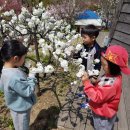 옥포초등학교병설유치원 이미지