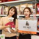 펫 클럽 이미지