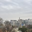 그래서 내 맘이 만날 봄인가