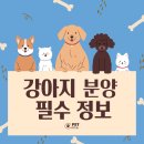 김해사랑병원 | 김해 강아지 분양 : 견종 선택부터 관리까지