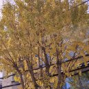 진남문예회관 | 2024 박성언의음악식당 후기/25년 맞이준비