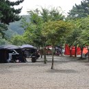 메추리 펜션 이미지