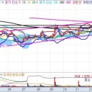 태평양 금호 이미지