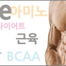 채움 바이오텍 이미지