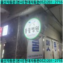 쿨펫동물병원 동구점 이미지