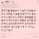 [트리즈 캠프] 춘천 봉의고 1학년 _ 진로 2023.07.10~11