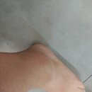 야탑터미널튼튼본의원 | 카페 트램폴린에서 발목을 제대로 접질렀다.. 그래서 찾아간 야탑 터미널 튼튼 본 의원 리얼 솔직 후기!