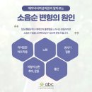 에이비씨여성의원 이미지