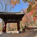 구절초막걸리 펜션 이미지