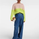 햄스터숄더 이미지