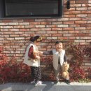 쇼핑을한눈에