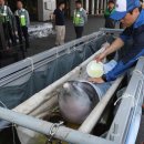 돌고래약품 이미지