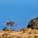 MED AUTO SERVICE 이미지