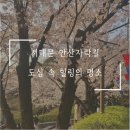 나만의 힐링로드(무악재역-봉원사코스) | 서대문 안산자락길 나만의 도심 속 힐링 포인트