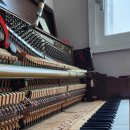 동탄순환대로26길 이미지