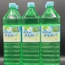 고로쇠 티스토리