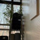 수서로 | 수서역 상견례 맛집 프라이빗룸 늘복집 수서본점 내돈내산 후기