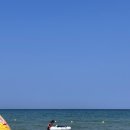 손양면사무소 | 애견동반 가능한 바다 :: 양양 동호해변 애견비치 후기, 주차, 위치