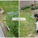 커스텀커피길음센터피스점 이미지