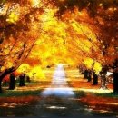 벽산동신점 이미지