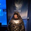 아쿠아월드 | [대구] 신세계백화점 &amp;아쿠아월드 후기&amp;실내놀이