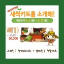 지평선기프트